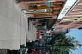 DSC_0276 (1)